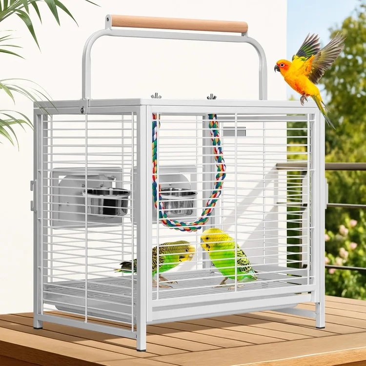 Stainless bird cage with colorful budgies and a perch inside