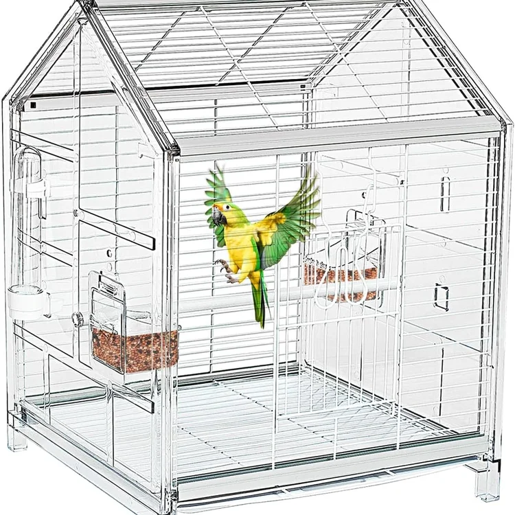 Stainless bird cage with a vibrant green and yellow parrot inside