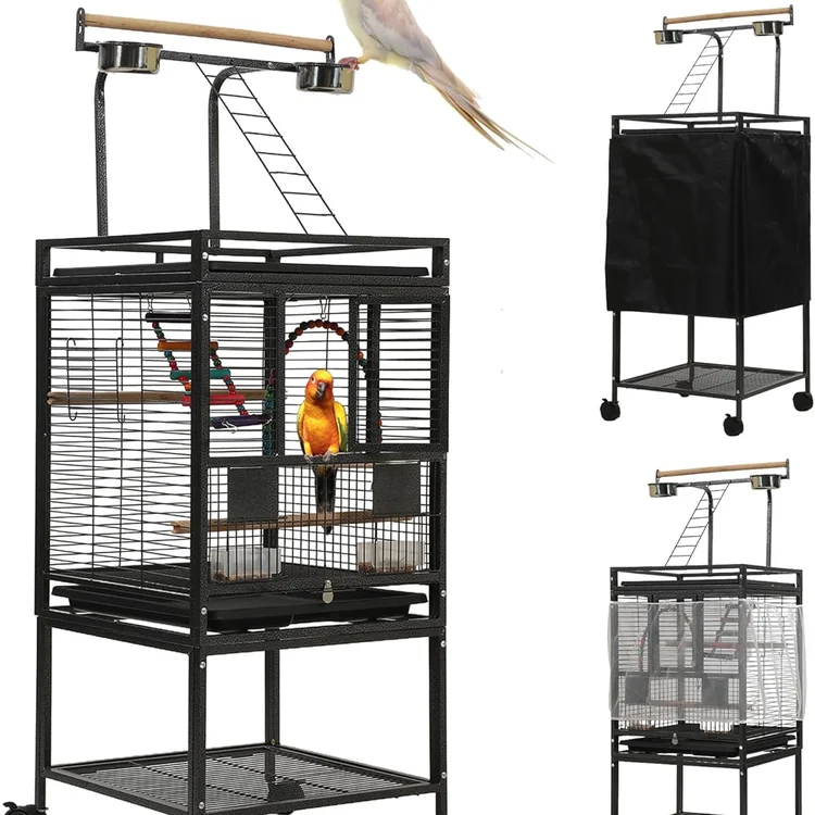 Stainless bird cage with colorful parrot and perches for playtime