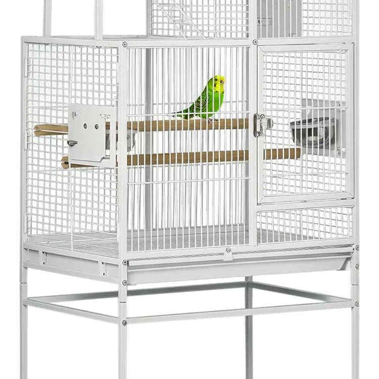 Stainless bird cage with green parakeet perched on wooden dowel