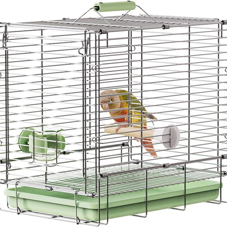 Stainless bird cage with a colorful parrot perched on a wooden dowel