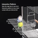 Interactive platform in stainless bird cage with budgerigar and toy ball