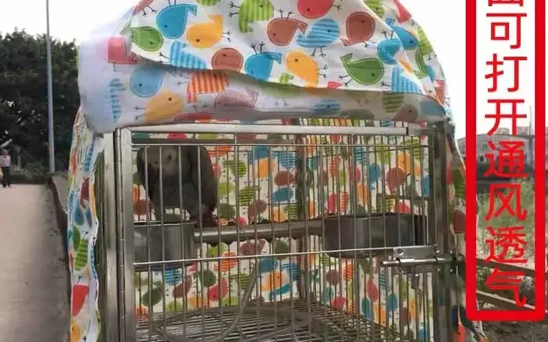 premium-stainlessbirdcage-for-outdoor-birds