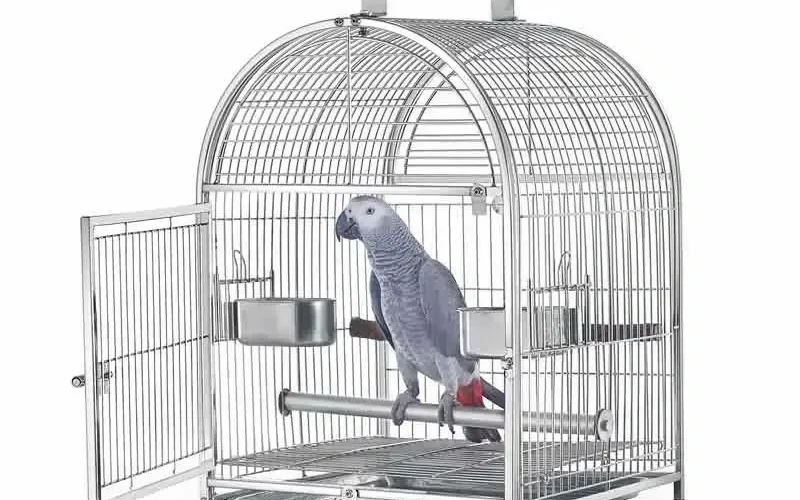 premium-stainlessbirdcage-for-outdoor-birds