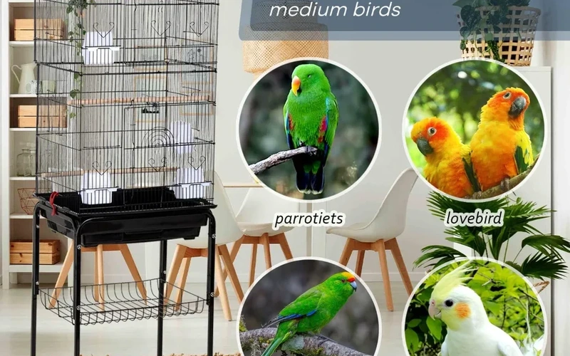 premium-stainlessbirdcage-with-rolling-stand