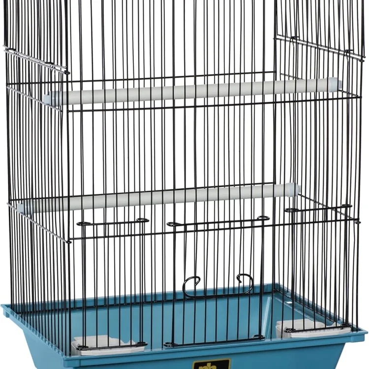 Stainless bird cage with two perches and a blue base for pet birds