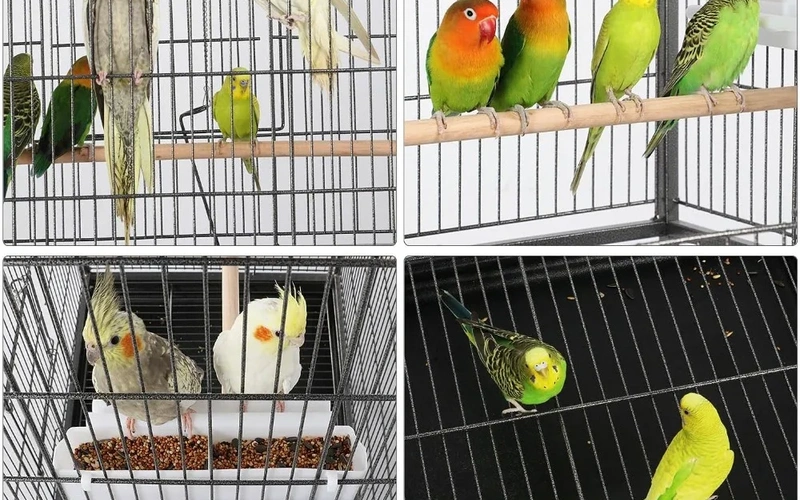 spacious-stainlessbirdcage-for-flight-freedom