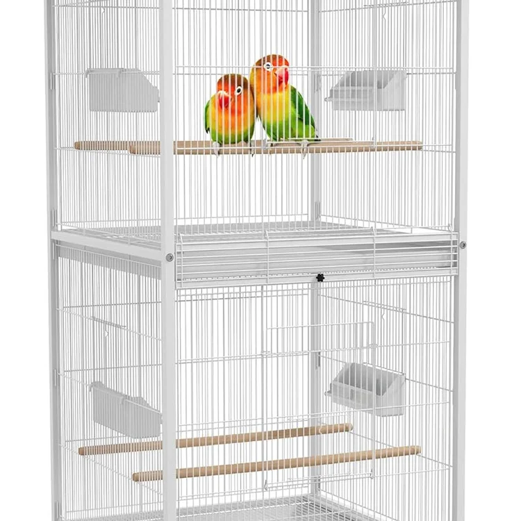 Two colorful lovebirds perched on wooden perches inside a stainless bird cage.