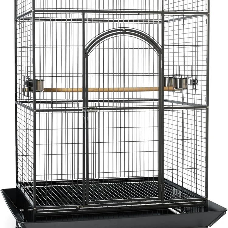 Large stainless bird cage with wooden perch and feeding bowls inside